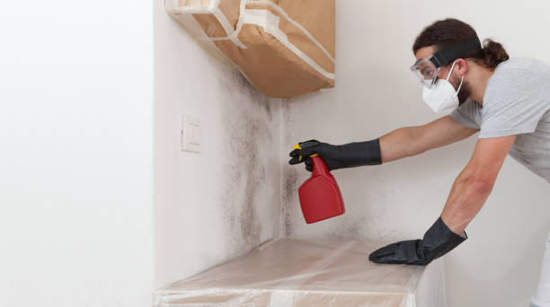 Professional Mold Remediation technician working in Waban, MA
